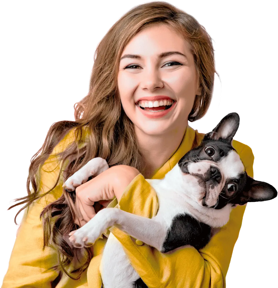 DogFel - Clínica Veterinária 24h