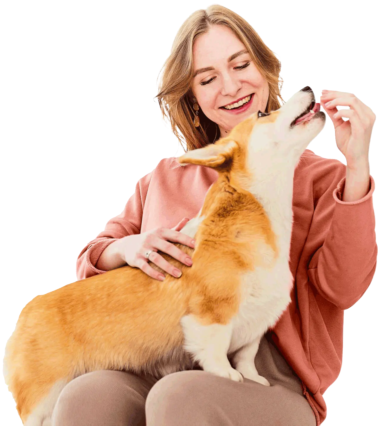 DogFel - Clínica Veterinária 24h